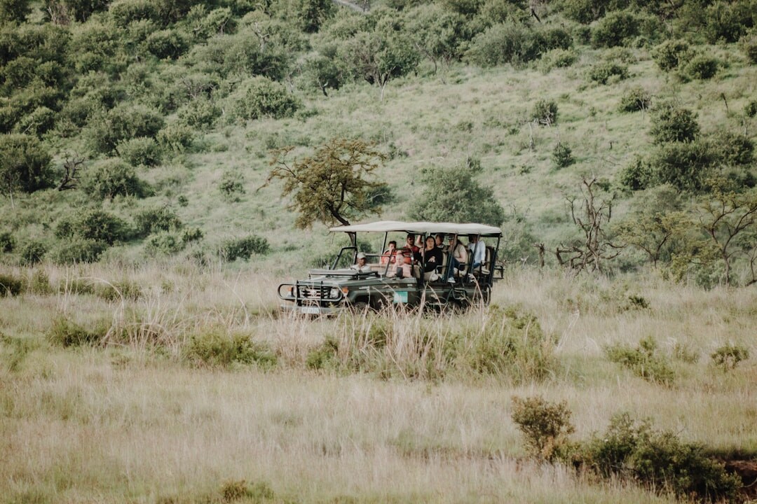 south africa safari